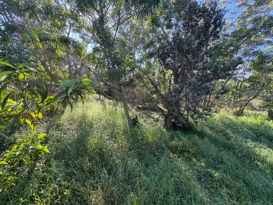 Trade Wind Blvd, Ocean View, HI 96737 - #2