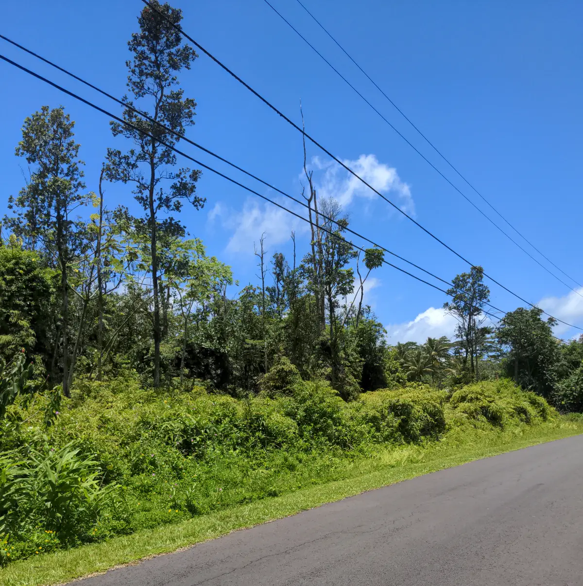 Alapai St, Pahoa, HI 96778 - #1