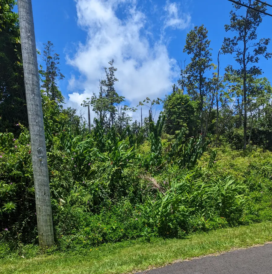 Alapai St, Pahoa, HI 96778 - #2