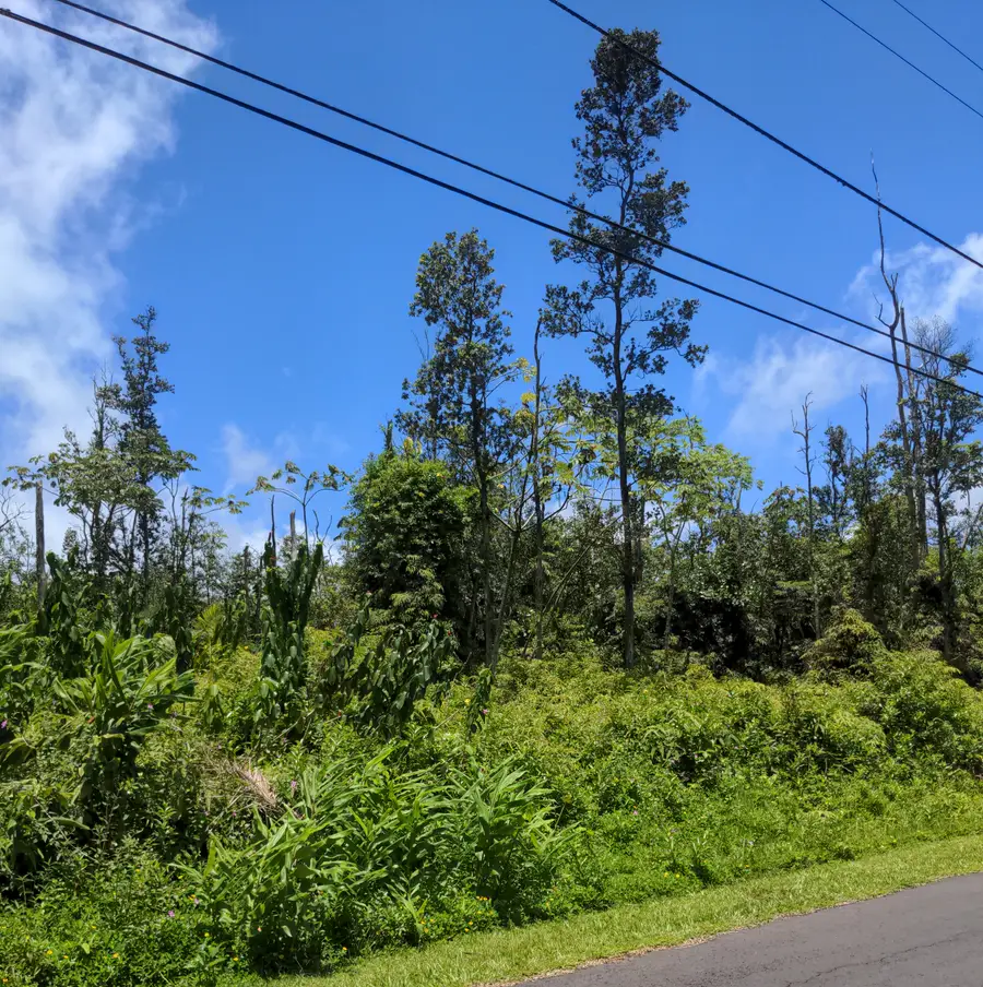 Alapai St, Pahoa, HI 96778 - #3