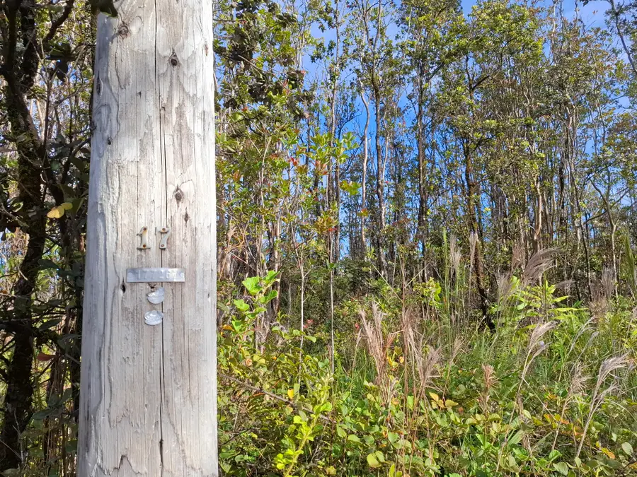 Noe Kuahiwi Rd, Volcano, HI 96785 - #3
