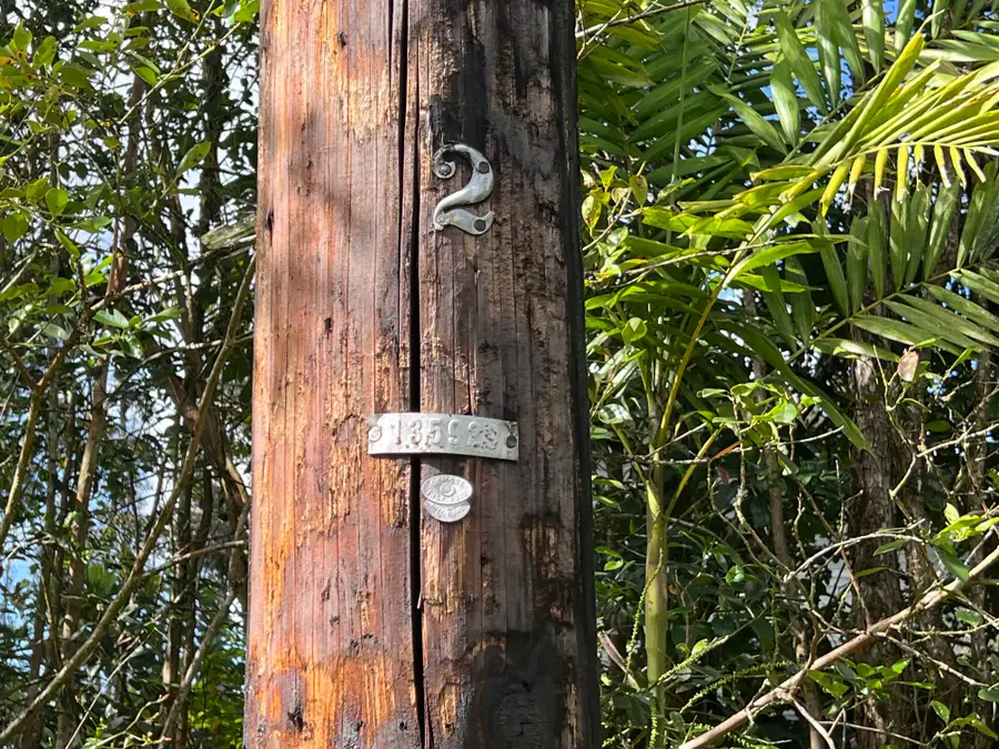 Molokai Rd, Pahoa, HI 96778 - #2
