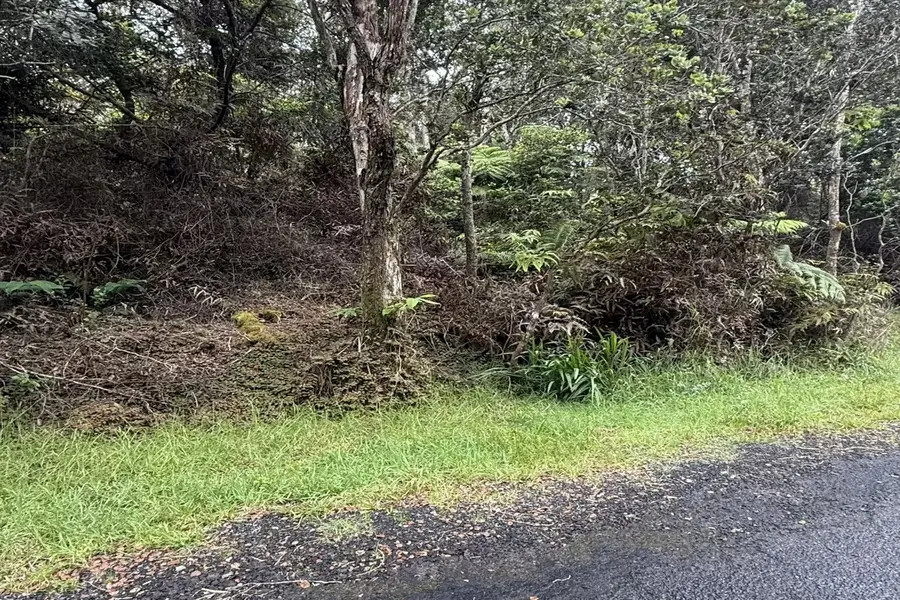 Road C, Volcano, HI 96785 - #3