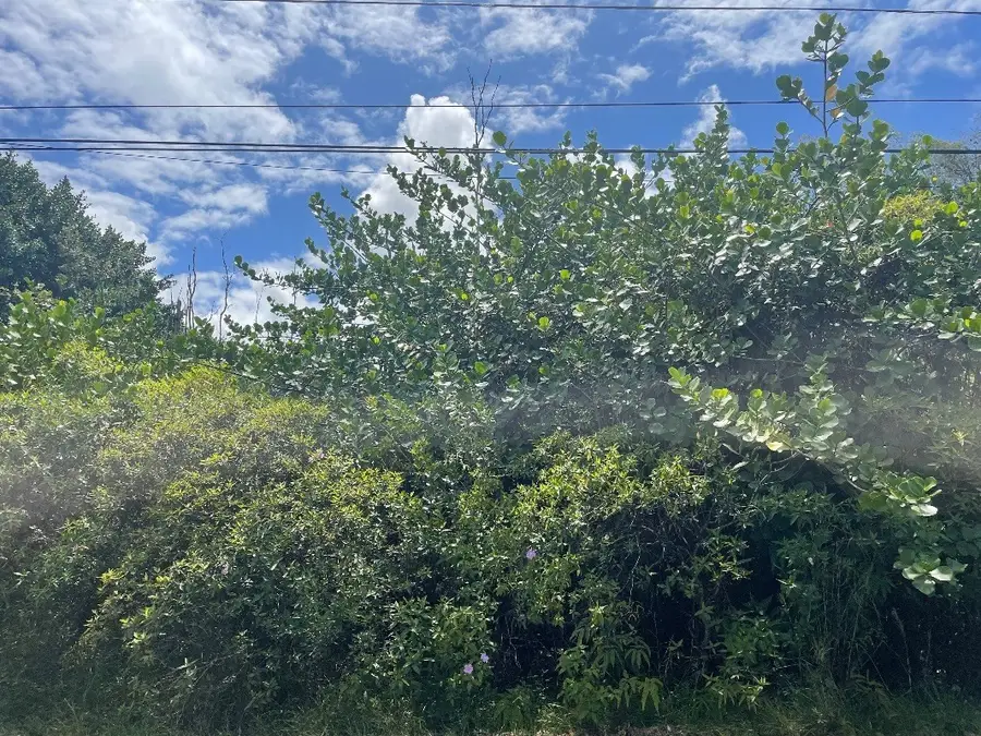 Pahoa Rd, Pahoa, HI 96778 - #3