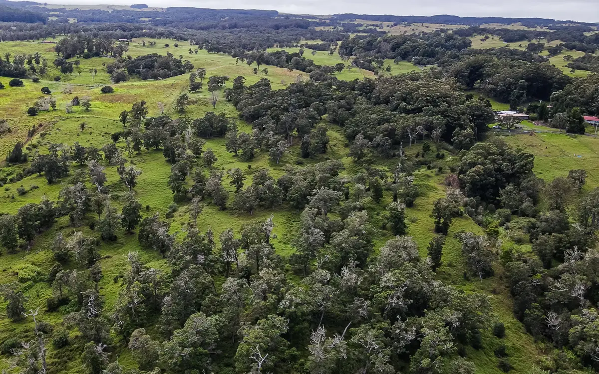 43-1815 Manienie Rd, Paauilo, HI 96776 - #1