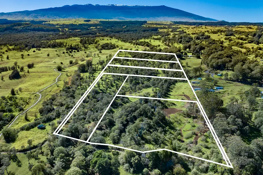 43-1815 Manienie Rd, Paauilo, HI 96776 - #2