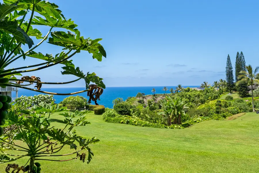 3811 Edward Rd #7203, Princeville, HI 96722 - #3