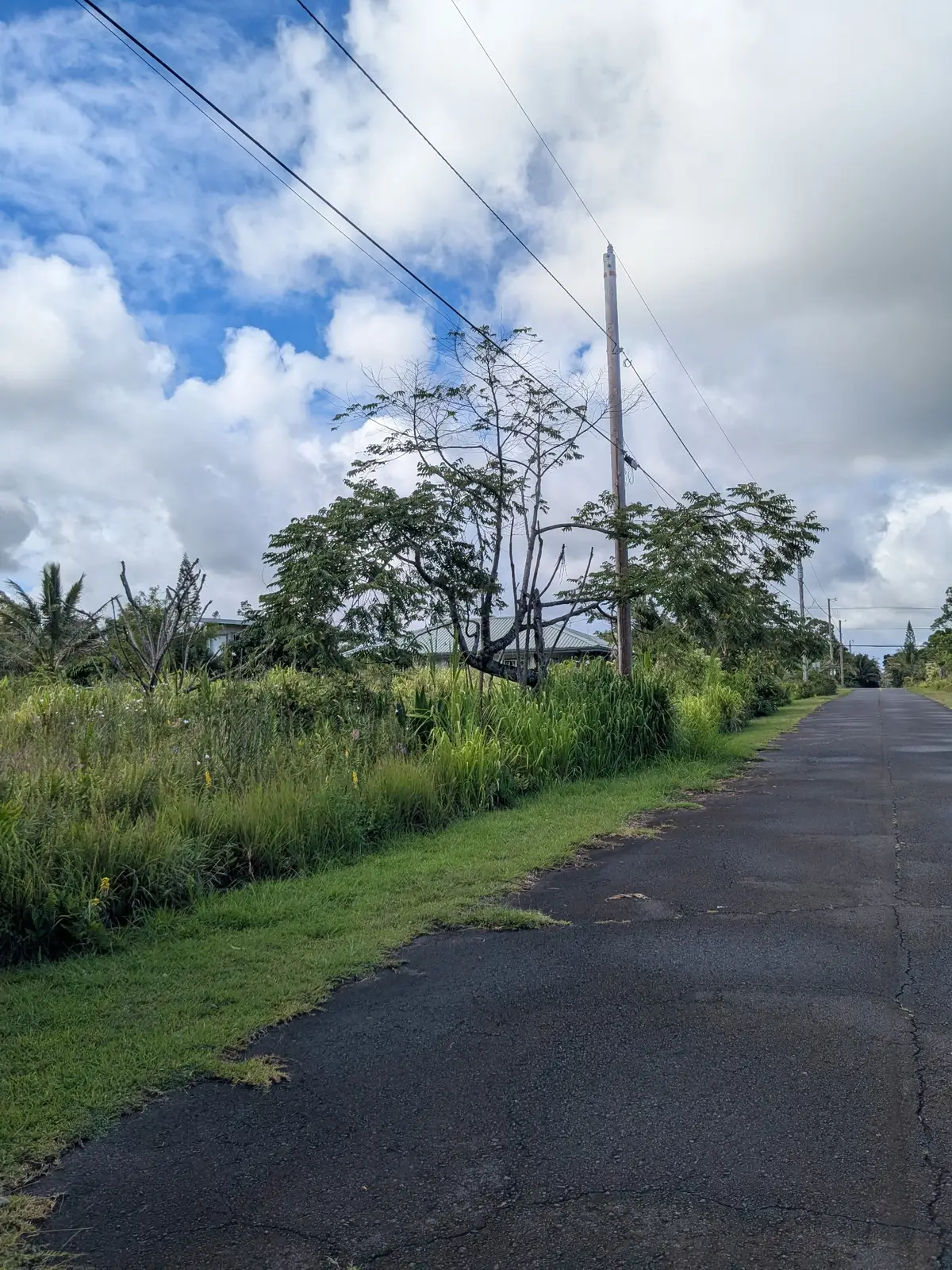 Eelekoa St, Pahoa, HI 96778 - #1