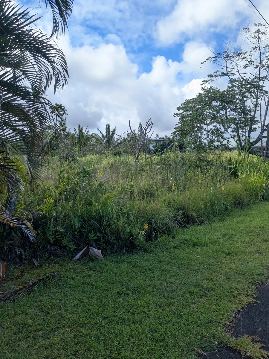 Eelekoa St, Pahoa, HI 96778 - #3