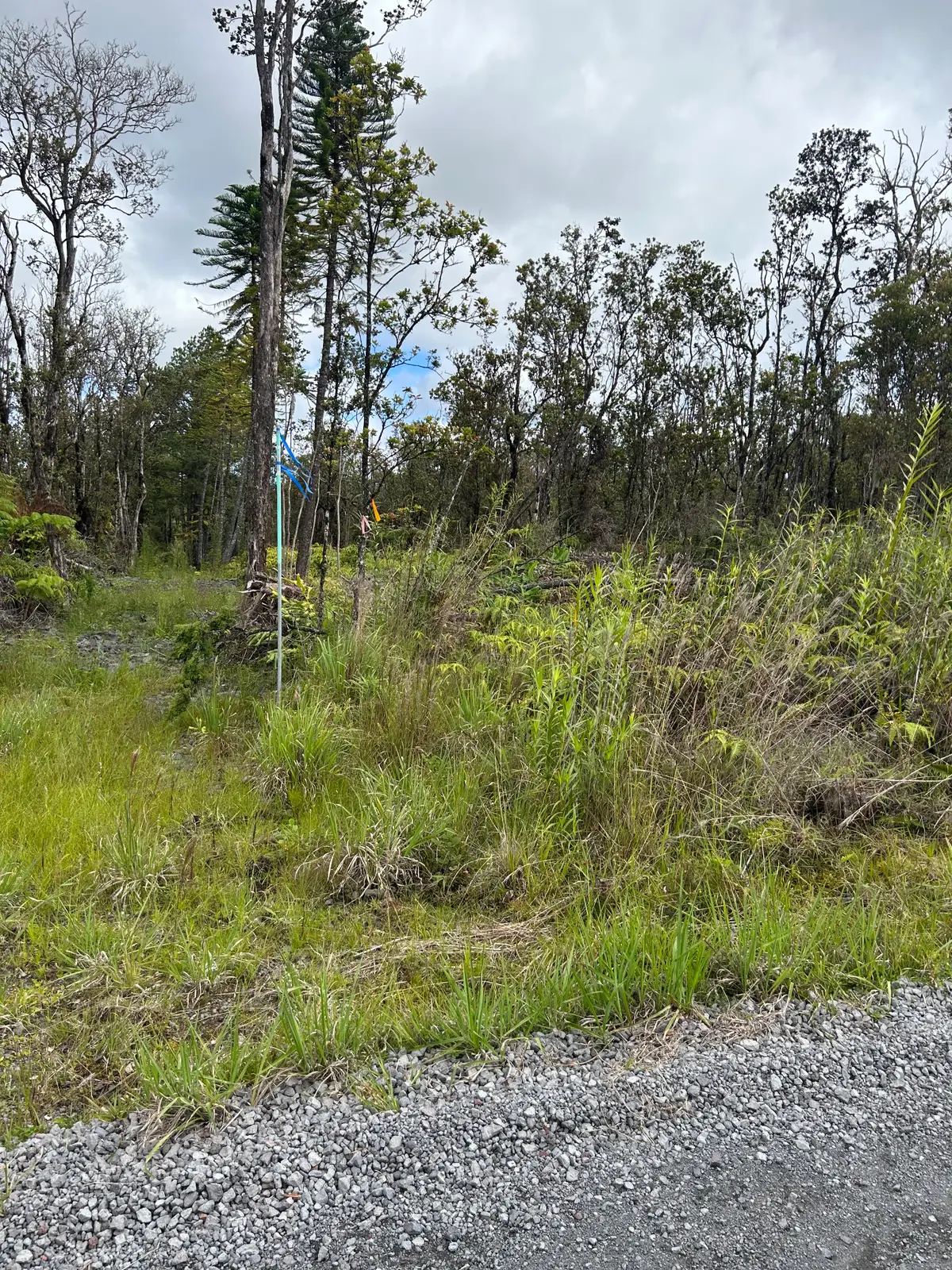 Noe Kuahiwi Rd, Volcano, HI 96785 - #1