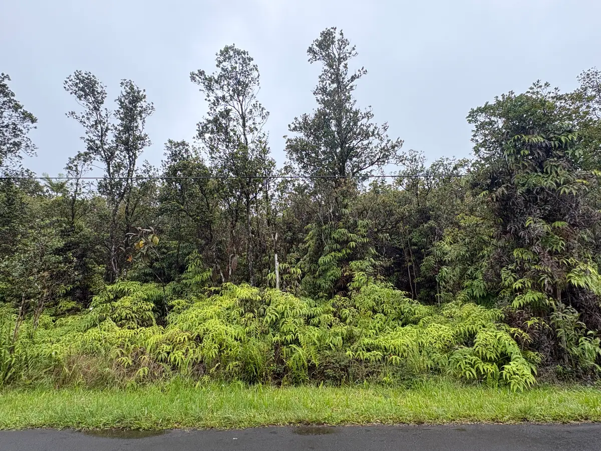 Ohia Ave, Mountain View, HI 96771 - #1