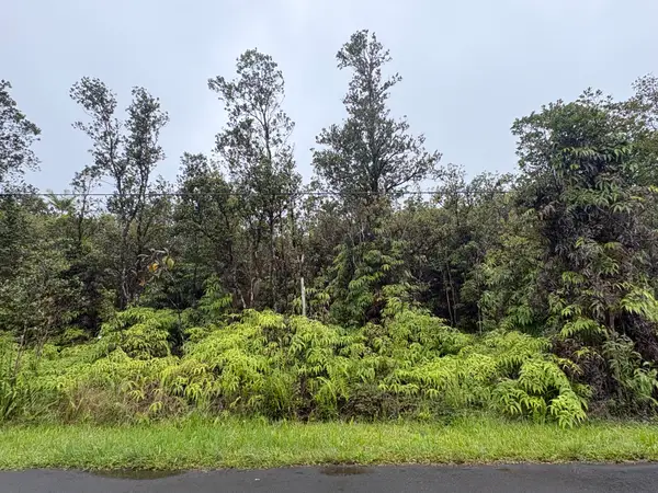 Ohia Ave, Mountain View, HI 96771