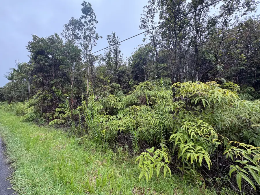Ohia Ave, Mountain View, HI 96771 - #3