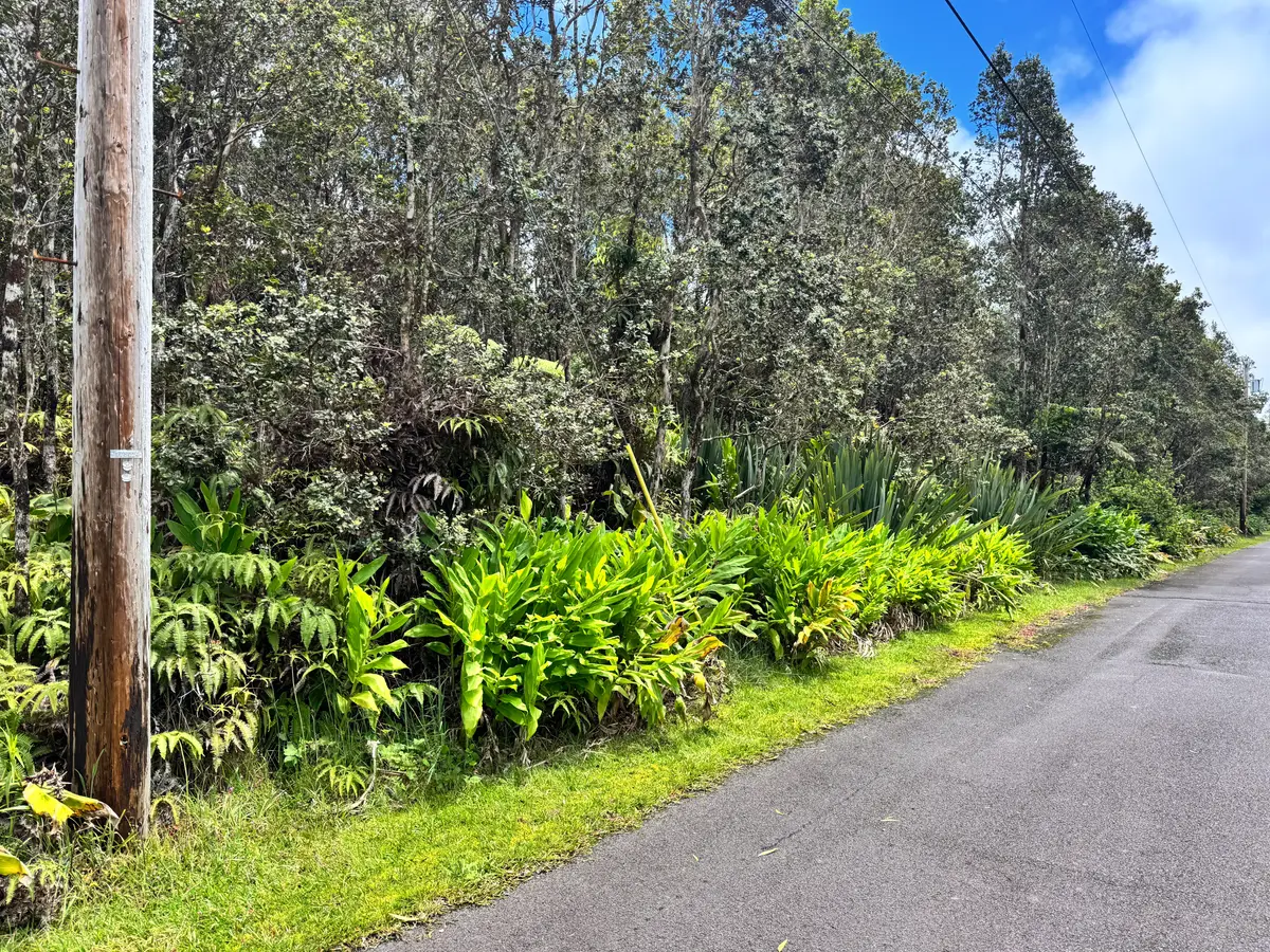 11-3778 1st St, Volcano, HI 96785 - #1