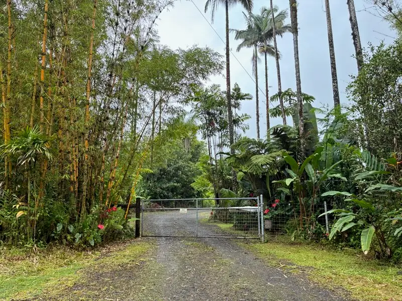 16-1598 Uau Rd, Mountain View, HI 96771 - #2