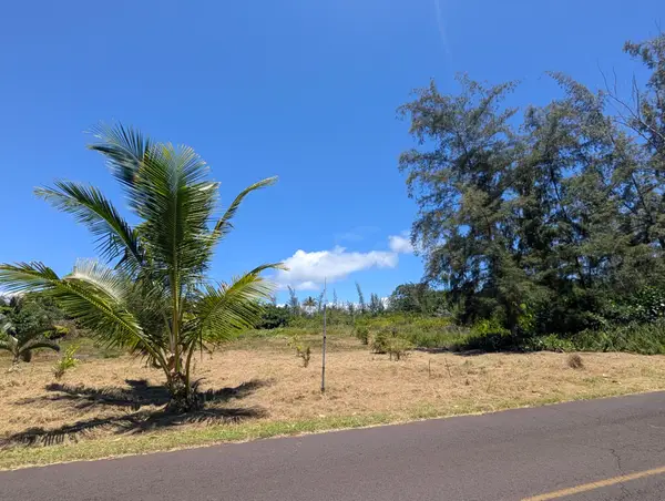 15-916 Paradise Ala Kai Dr, Keaau, HI 96749