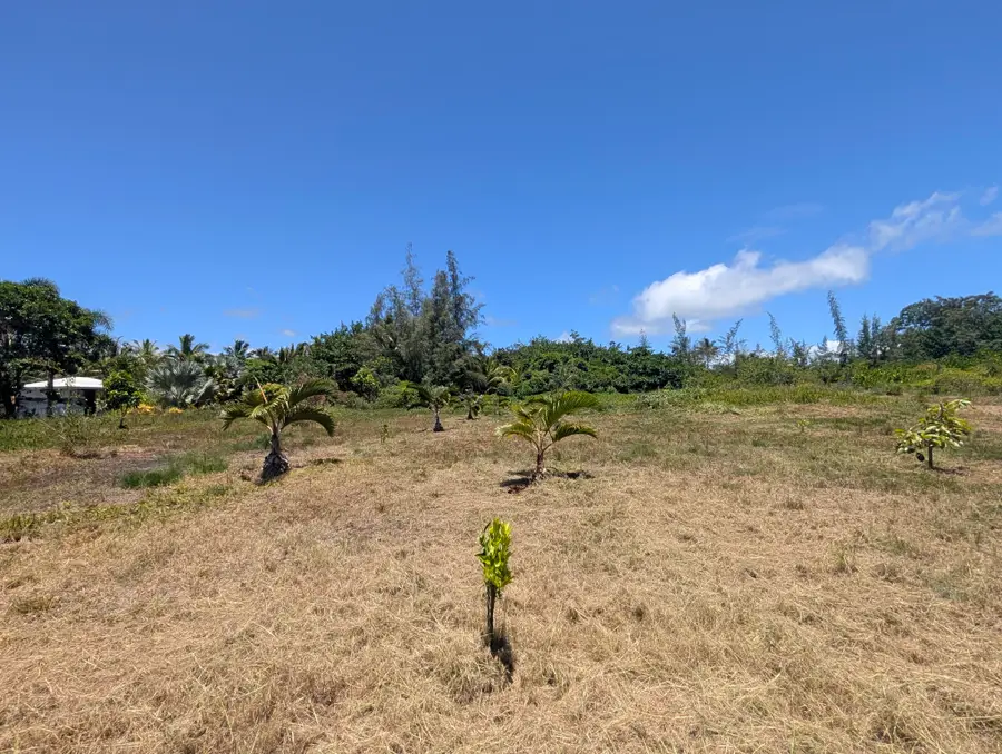 15-920 Paradise Ala Kai Dr, Keaau, HI 96749 - #3
