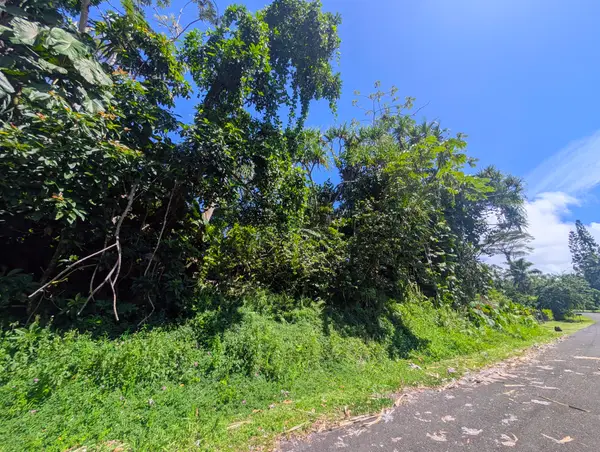 15-179 Puni Lani Loop, Pahoa, HI 96778