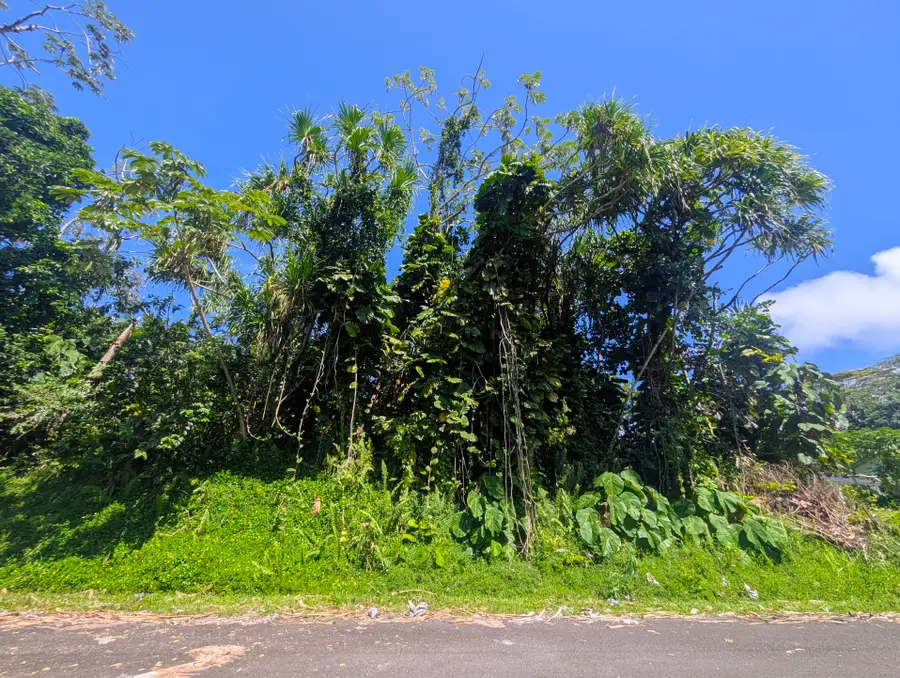 15-179 Puni Lani Loop, Pahoa, HI 96778 - #2