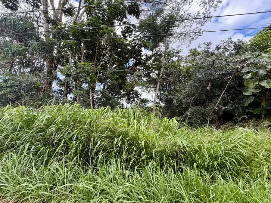 Lalakea St, Pahoa, HI 96778 - #2