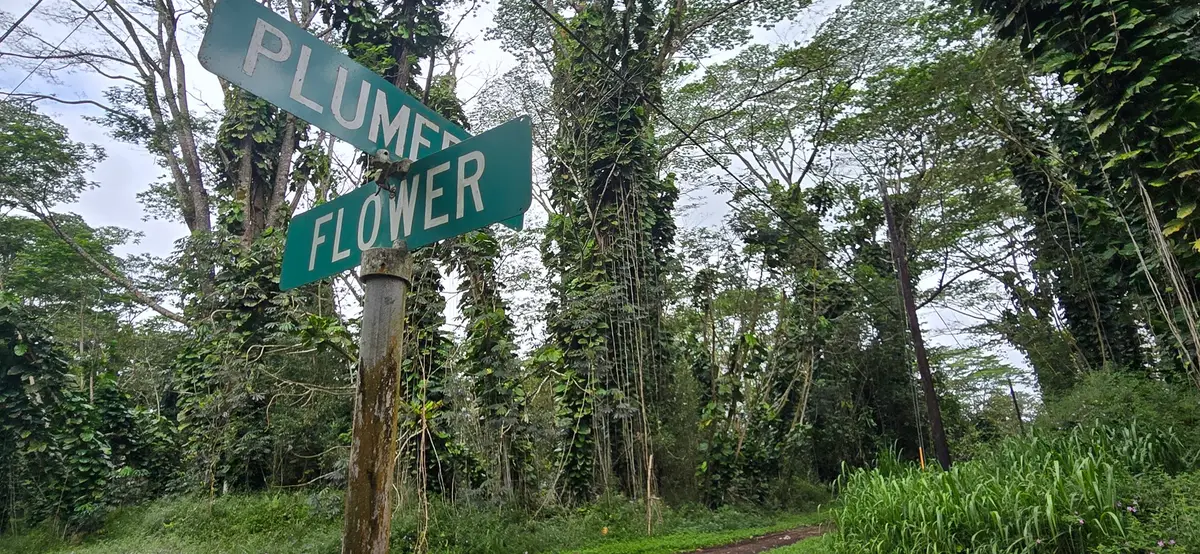 Address Withheld By Seller, Pahoa, HI 96778 - #1