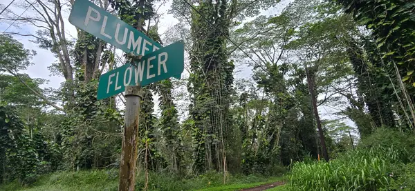 Address Withheld By Seller, Pahoa, HI 96778