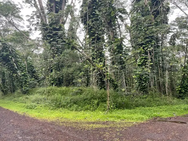 Address Withheld By Seller, Pahoa, HI 96778 - #2
