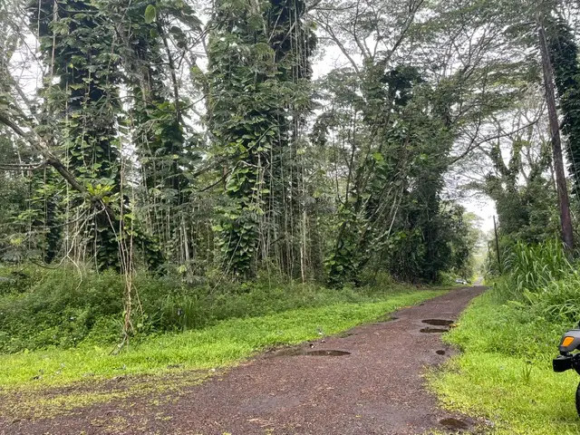 Address Withheld By Seller, Pahoa, HI 96778 - #3