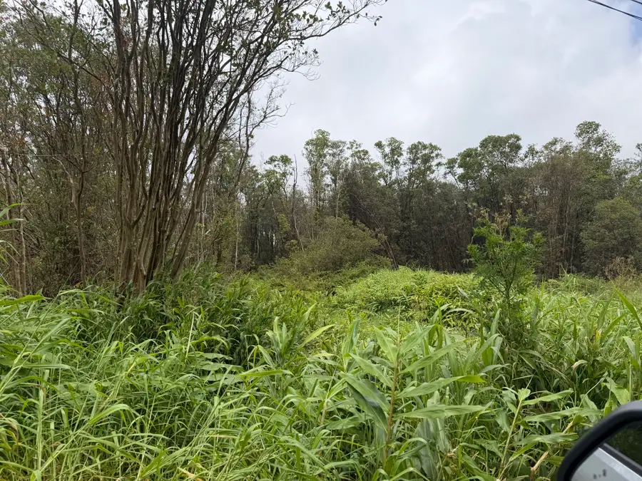 Road 1, Mountain View, HI 96771 - #3