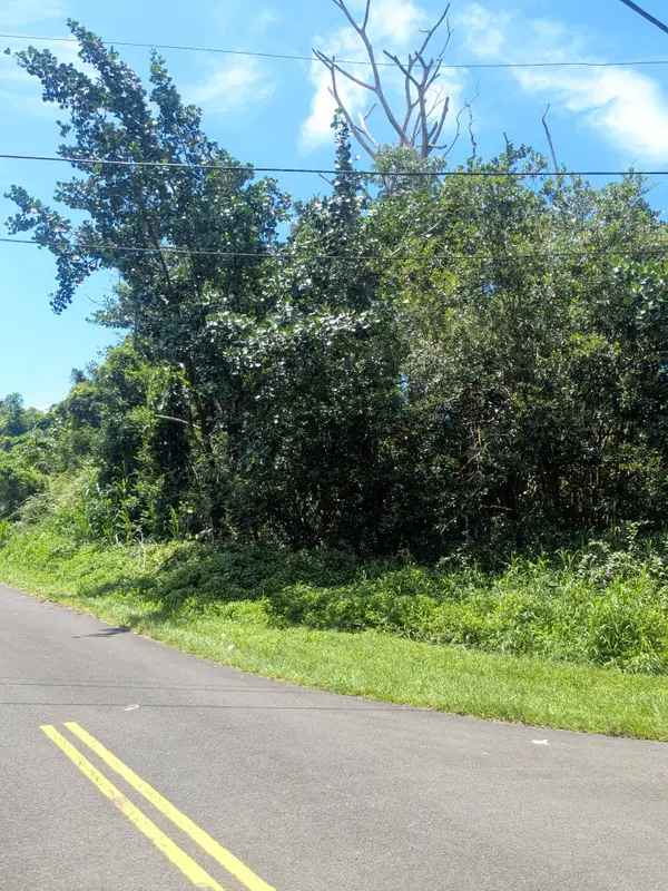 Aweoweo St, Pahoa, HI 96778