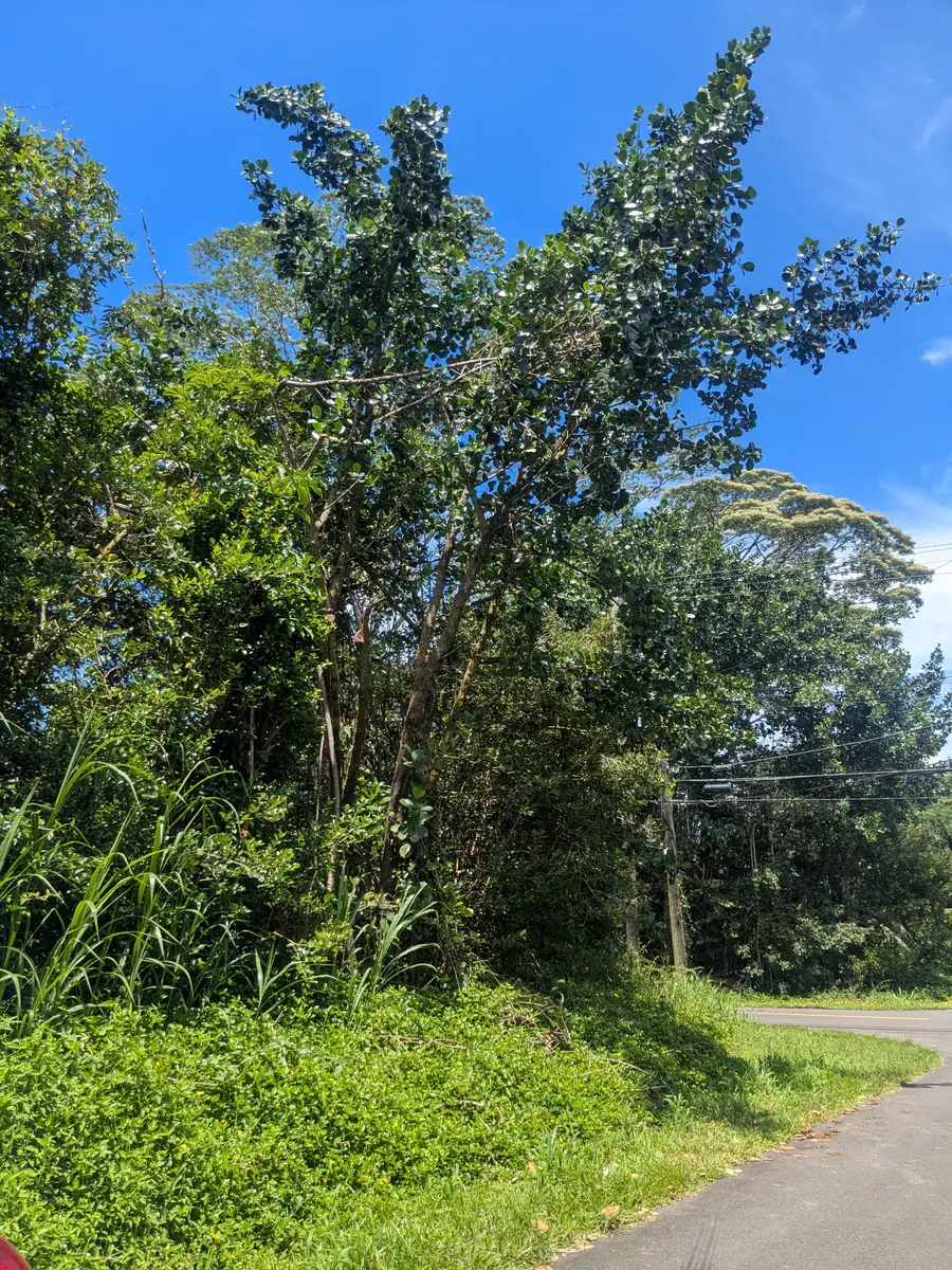 Aweoweo St, Pahoa, HI 96778 - #2