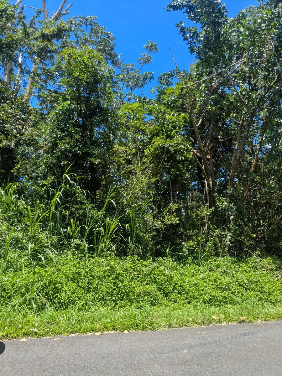 Aweoweo St, Pahoa, HI 96778 - #3