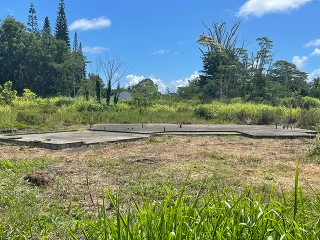 15-1429 15th Ave, Keaau, HI 96749 - #3