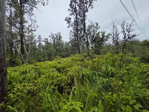 Hopue Rd, Mountain View, HI 96771