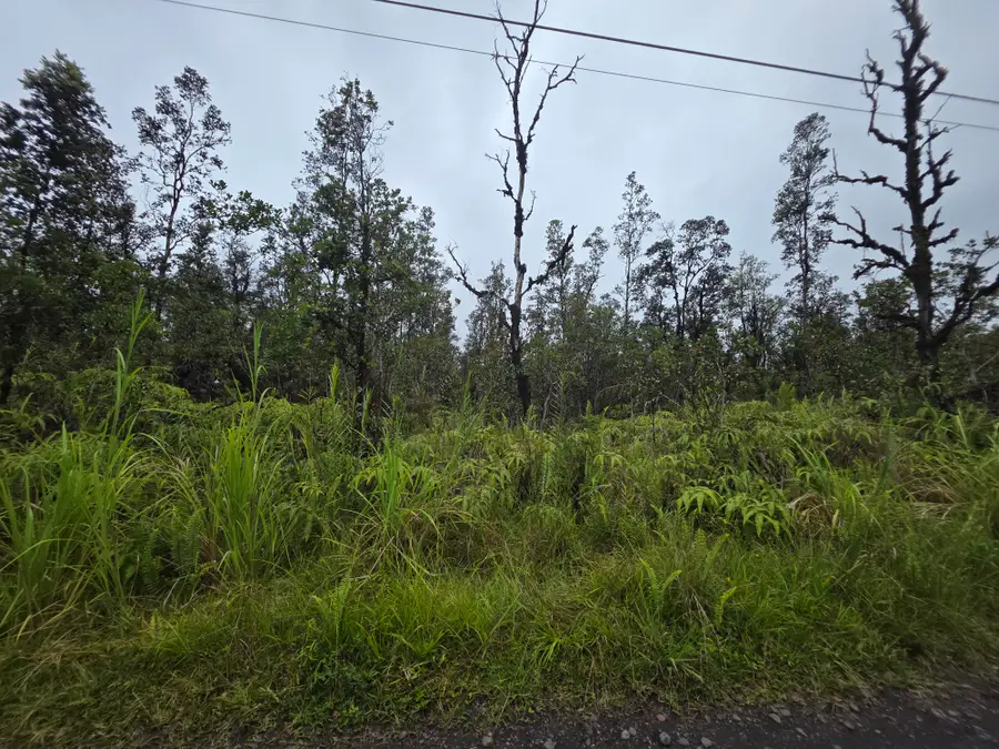 Hopue Rd, Mountain View, HI 96771 - #2