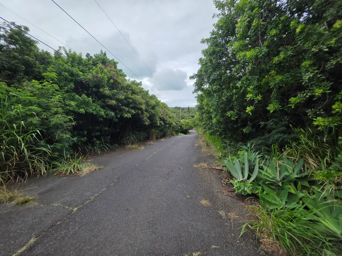 Mauka St, Naalehu, HI 96772 - #1
