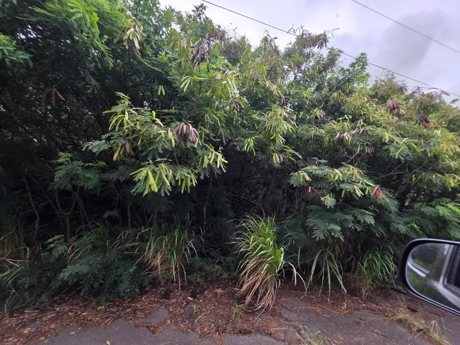 Mauka St, Naalehu, HI 96772 - #2