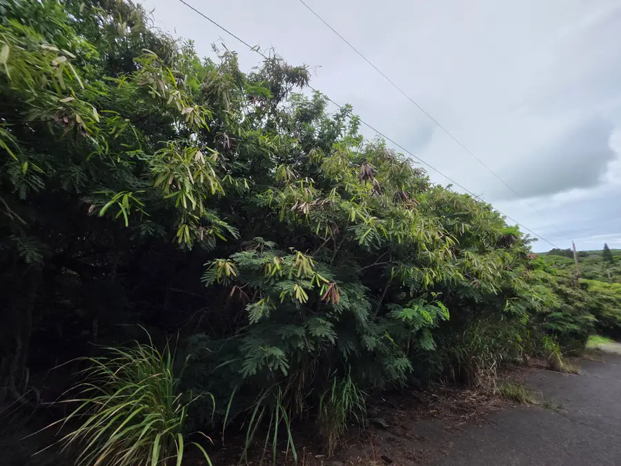 Mauka St, Naalehu, HI 96772 - #3