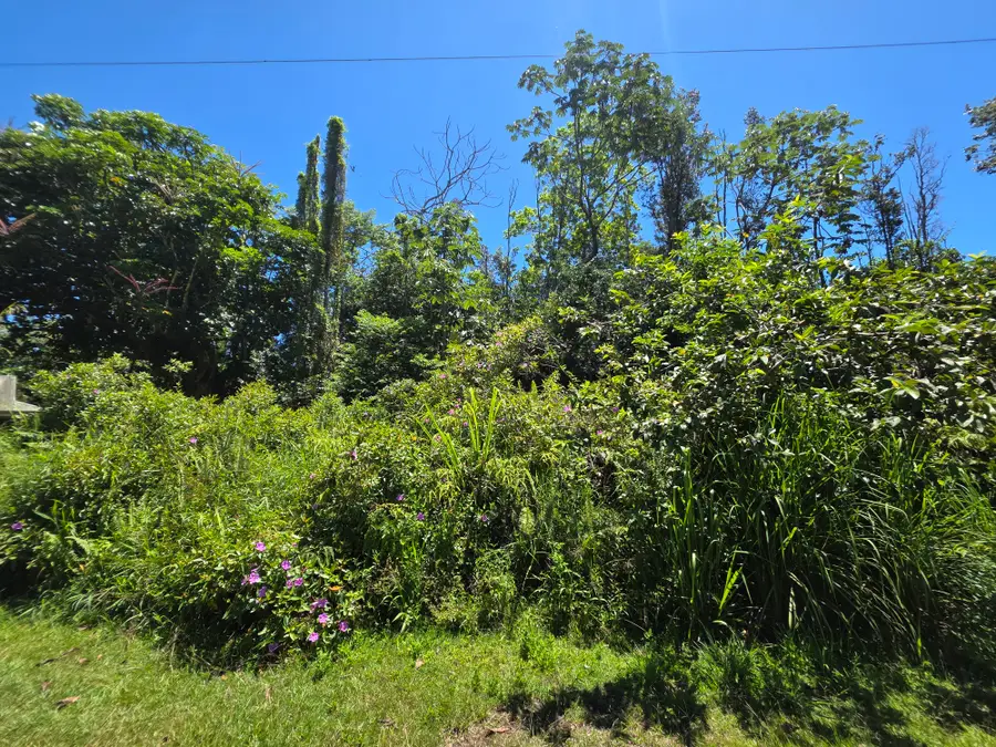 Kumu St, Pahoa, HI 96778 - #2