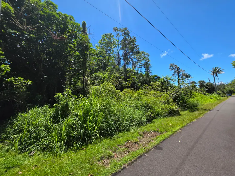 Kumu St, Pahoa, HI 96778 - #3