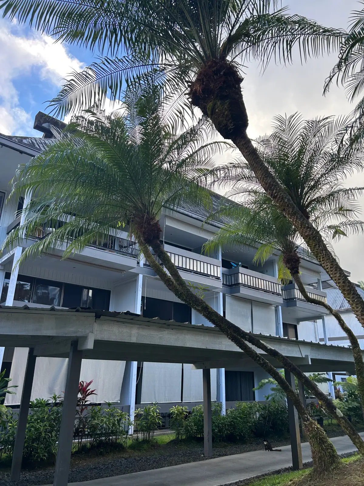 400 Hualani St #5242, Hilo, HI 96720 - #1