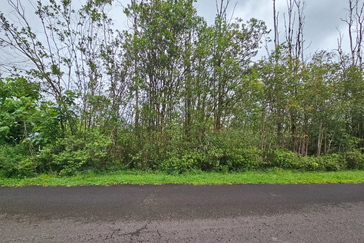 Uilani Dr #Lot 6, Kurtistown, HI 96760 - #1