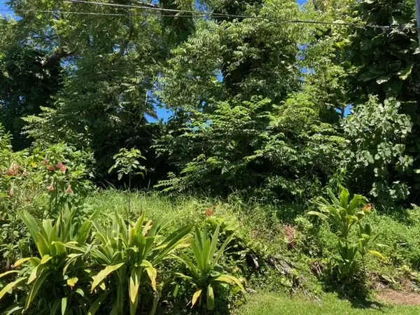 N Opihi St, Pahoa, HI 96778