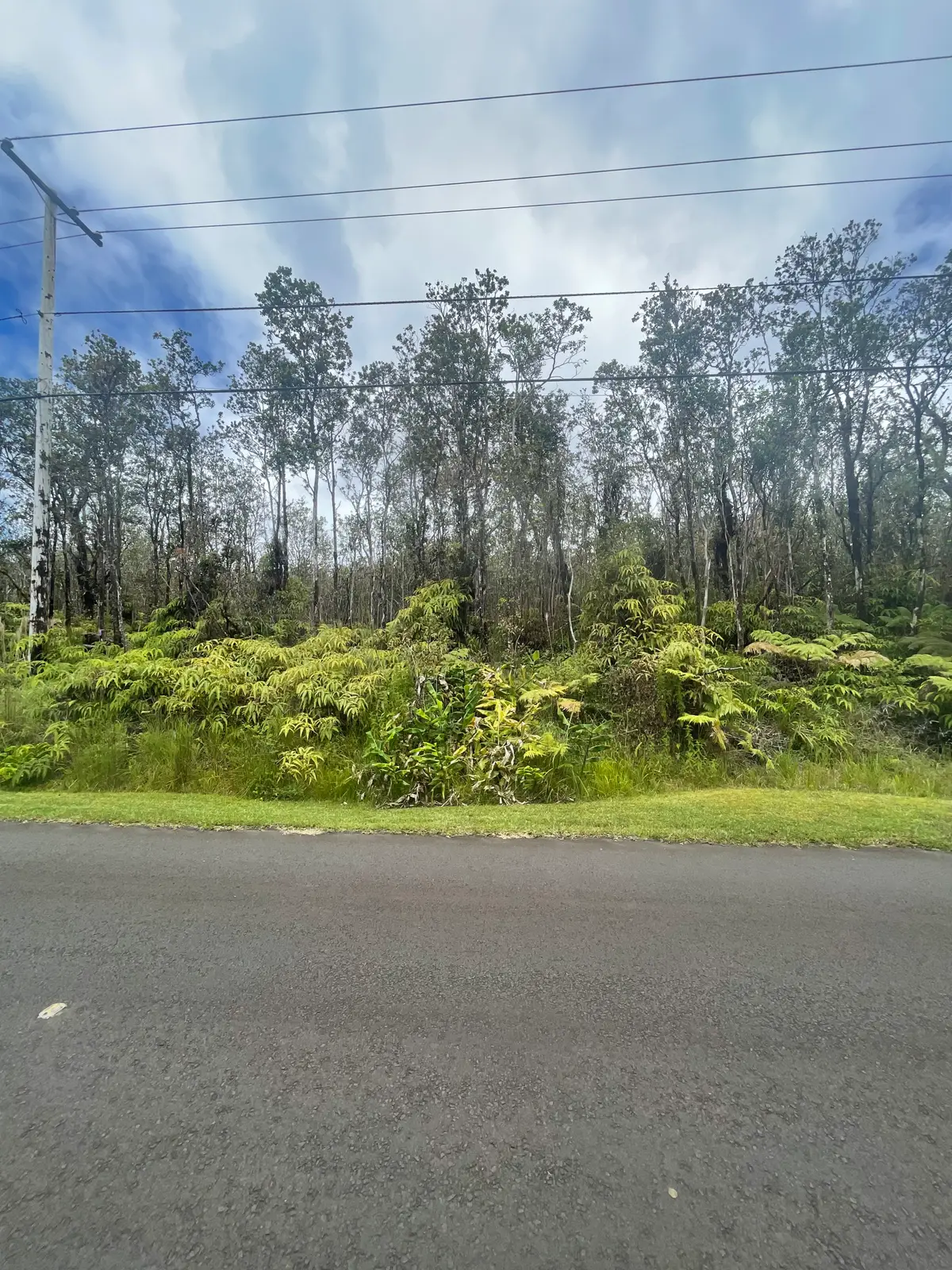 Kahaualea Rd, Volcano, HI 96785 - #1