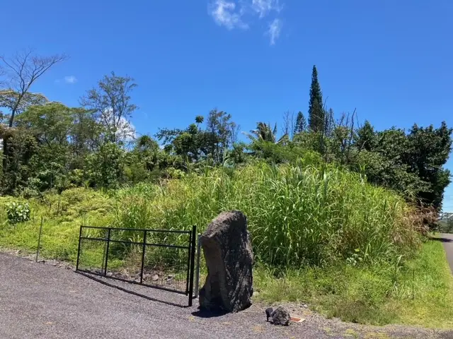 N Lalakea St, Pahoa, HI 96778 - #1