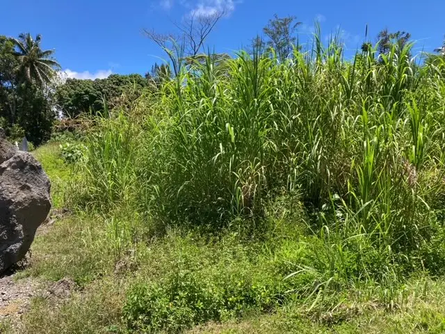 N Lalakea St, Pahoa, HI 96778 - #3
