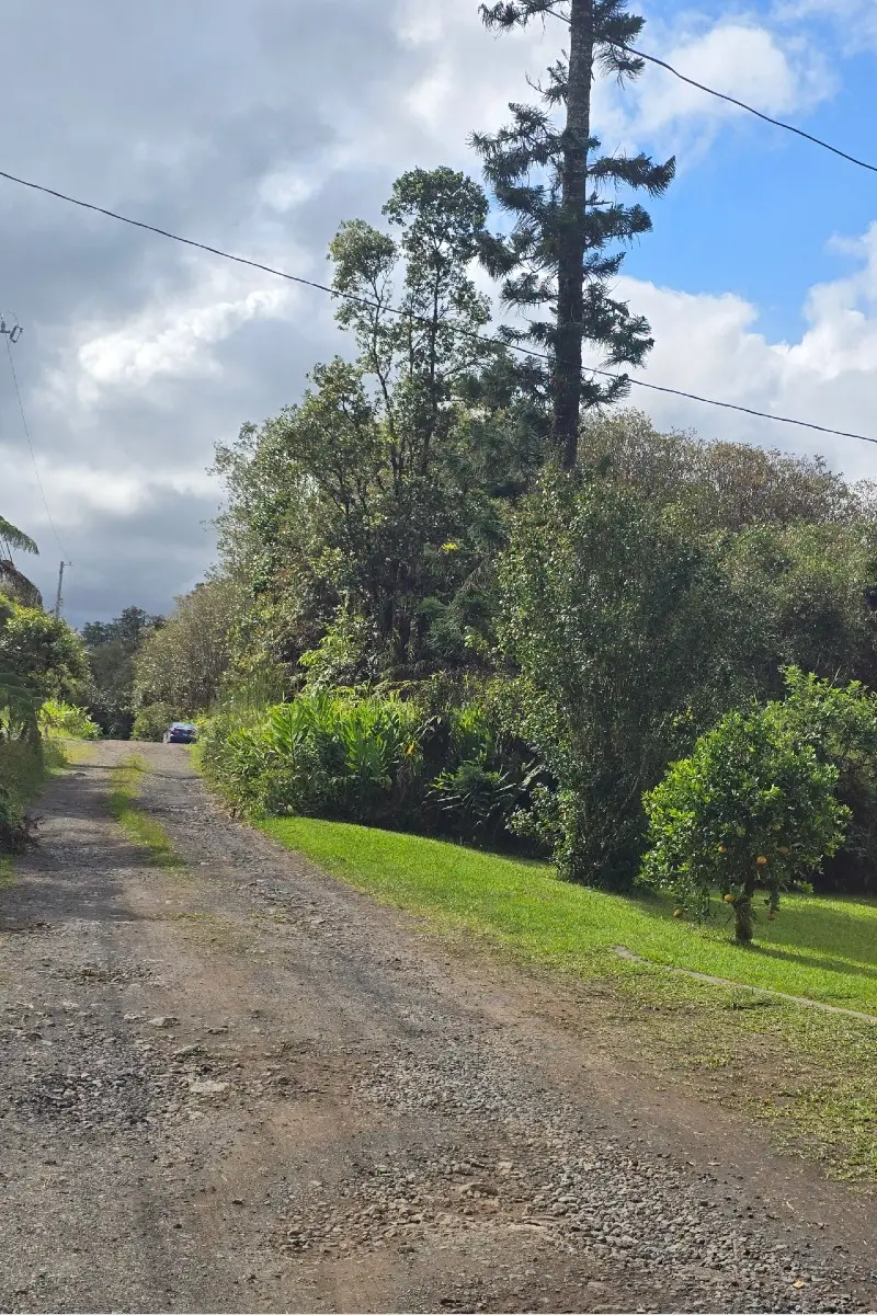 Kanahele Pl, Mountain View, HI 96771 - #1