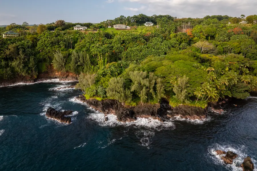 27-599 Alakahi Pl, Papaikou, HI 96781 - #3