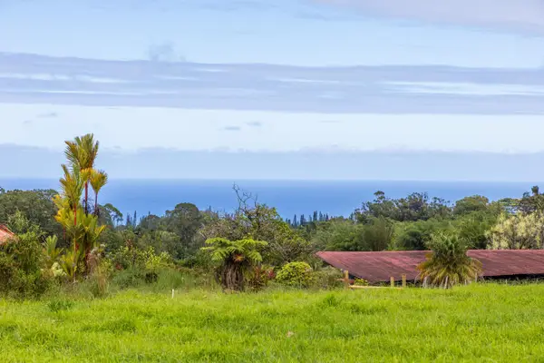 Chin Chuck Rd, Hakalau, HI 96710