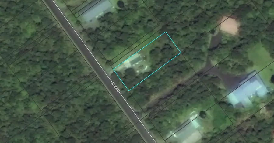 11-3872 Liona St, Volcano, HI 96785 - #2